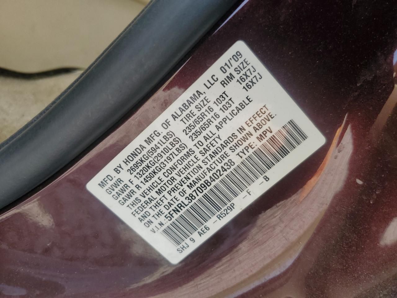 2009 Honda Odyssey exl