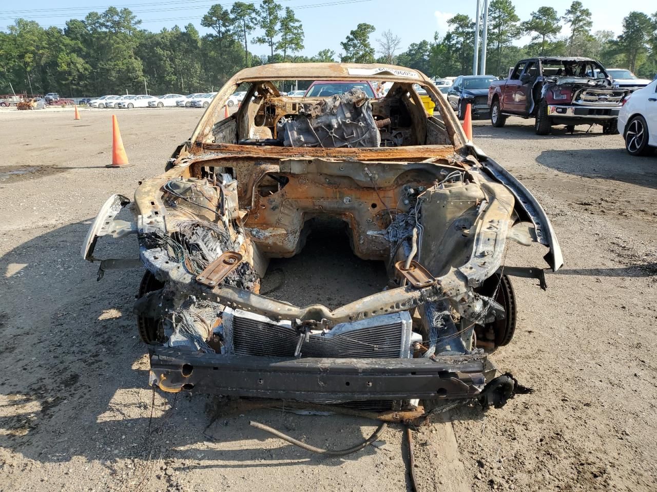 2019 Ford Mustang gt