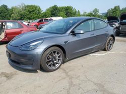 2023 Tesla Model 3 for sale in Marlboro, NY