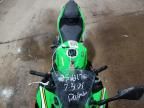 2025 Kawasaki EX500 H