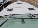 1995 Sea Ray Sundancer