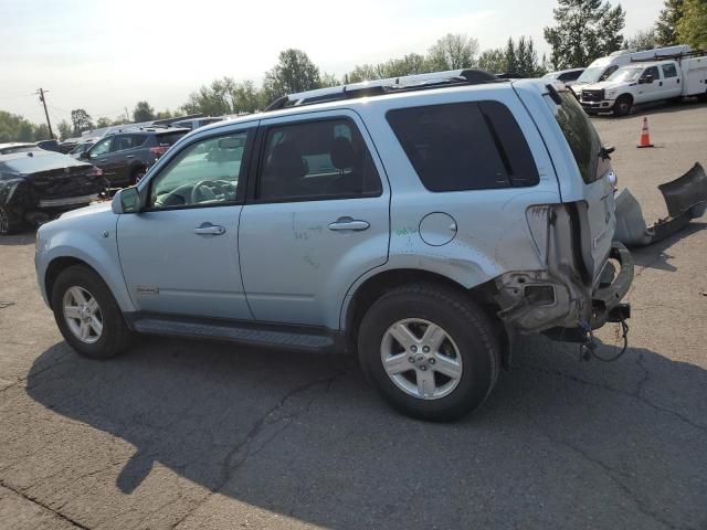 2008 Ford Escape HEV