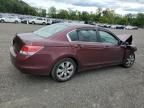2010 Honda Accord EX