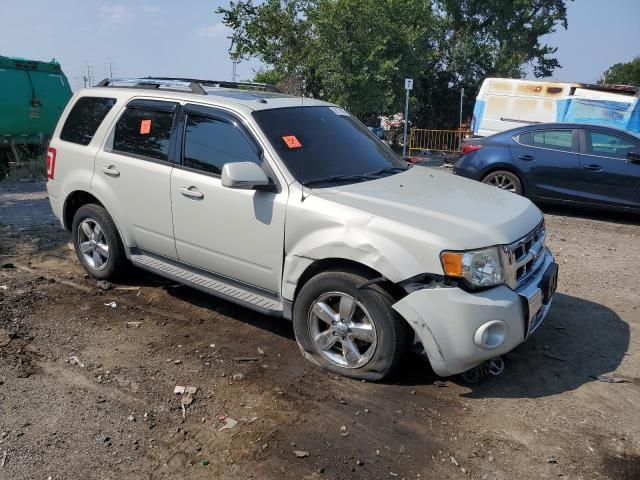 2009 Ford Escape Limited