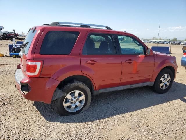 2011 Ford Escape Limited