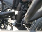 2025 Kawasaki EX500
