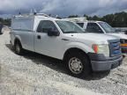 2010 Ford F150