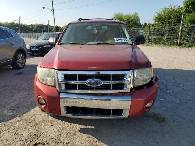 2008 Ford Escape Limited