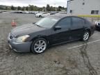 2008 Nissan Maxima se