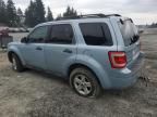 2008 Ford Escape HEV