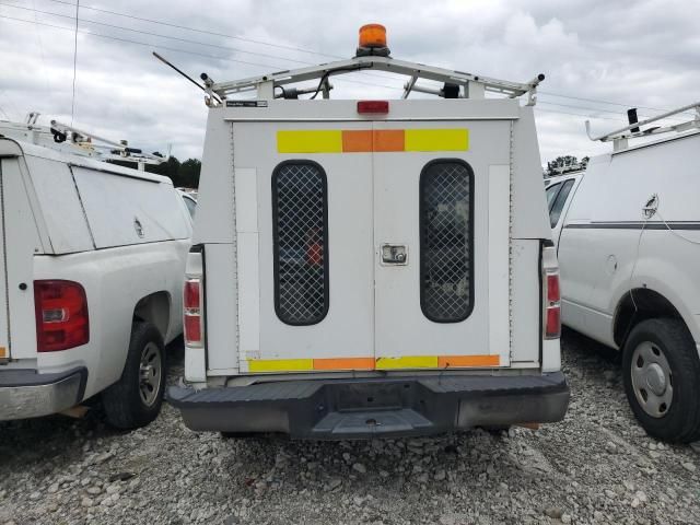 2010 Ford F150
