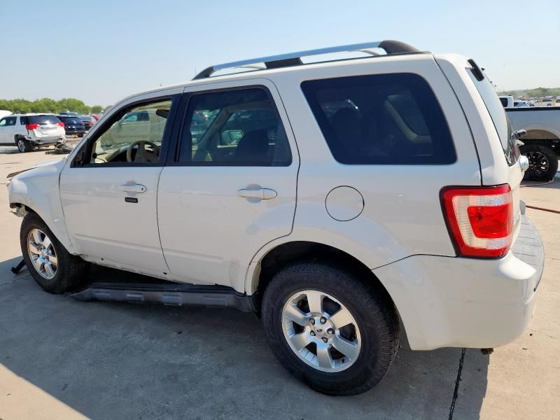 2011 Ford Escape Limited