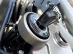 2023 Kawasaki KLX230 L