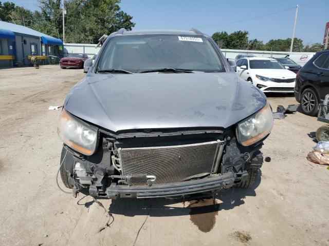 2008 Hyundai Santa fe se se