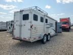 2010 Exxiss Horse