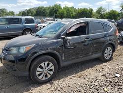 Honda salvage cars for sale: 2013 Honda Cr-v exl