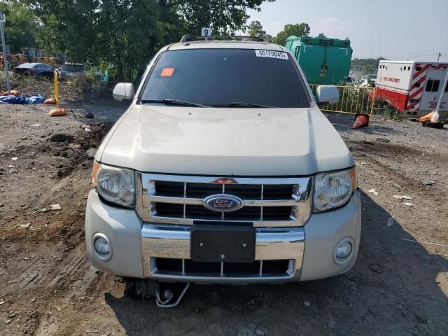 2009 Ford Escape Limited