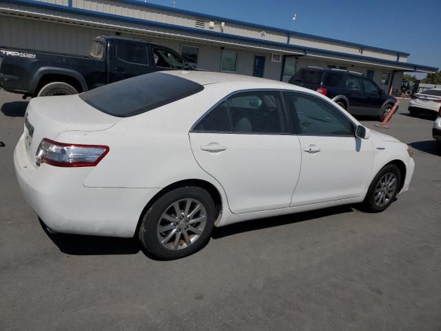 2011 Toyota Camry Hybrid