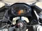 2025 Kawasaki EX500 H