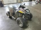 2023 Polari Phoenix 200