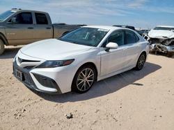 2023 Toyota Camry se for sale in Andrews, TX