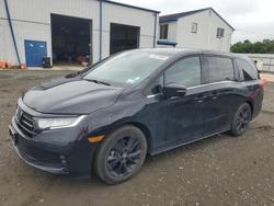 2024 Honda Odyssey Sport for sale in Windsor, NJ