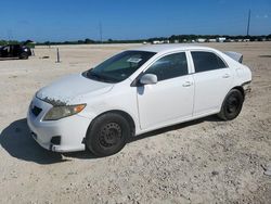 Toyota Vehiculos salvage en venta: 2010 Toyota Corolla Base