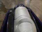 2025 Seadoo Gtise
