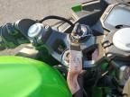 2025 Kawasaki EX500 H