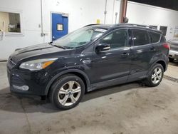 2015 Ford Escape SE for sale in Blaine, MN