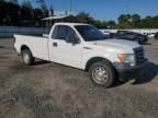 2010 Ford F150