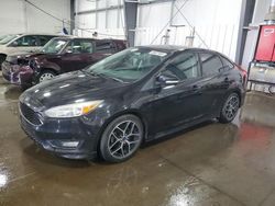 2015 Ford Focus SE for sale in Ham Lake, MN