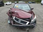2010 Honda Accord EX