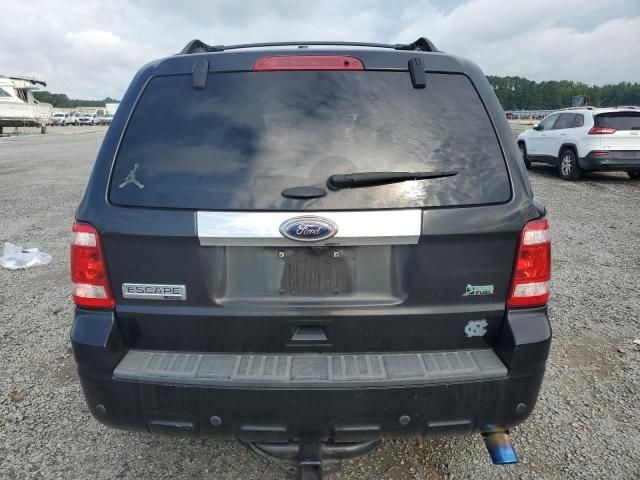 2011 Ford Escape Limited