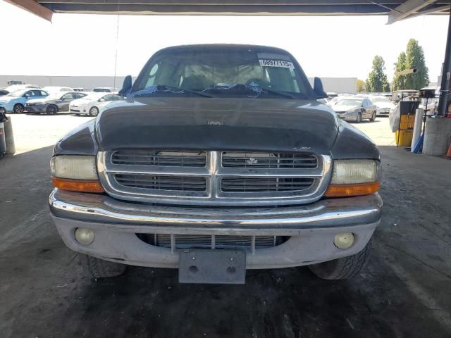 2004 Dodge Dakota Quad SLT