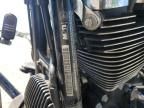 2019 Harley-Davidson Fltrxs