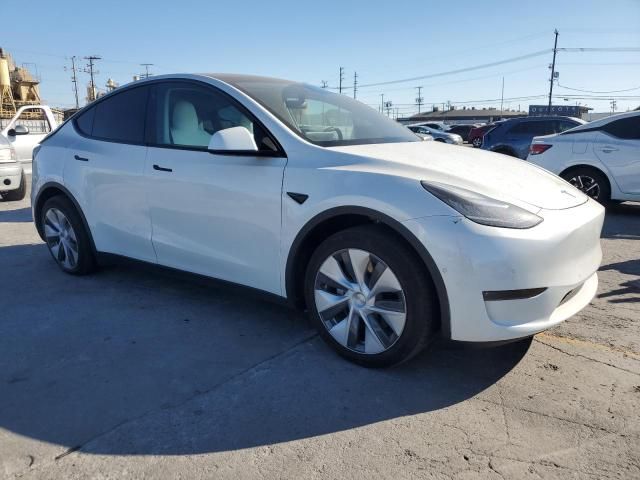 2020 Tesla Model Y