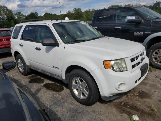 2011 Ford Escape Hybrid