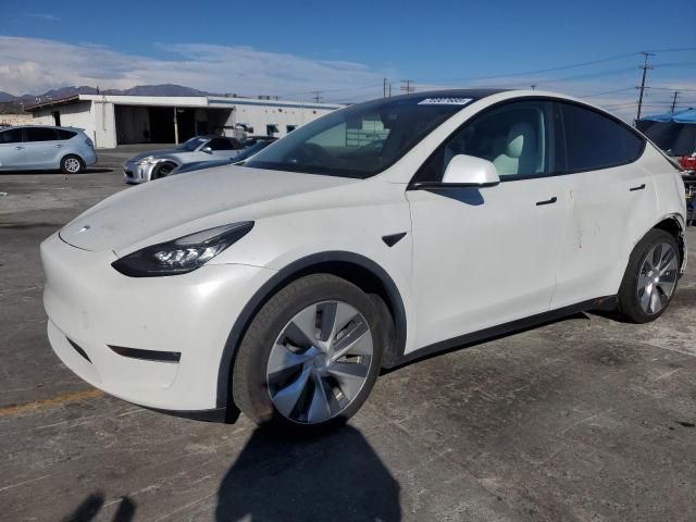 2020 Tesla Model Y
