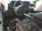 2025 Ford F150 STX