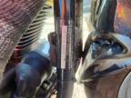 1994 Harley-Davidson Flstc
