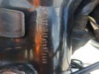 2004 Harley-Davidson FXD