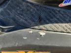 2013 Sea Doo RXT