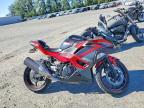 2025 Kawasaki EX500
