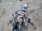 2001 Harley-Davidson Flstfi
