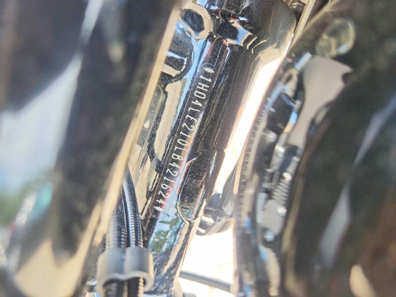 2020 Harley-Davidson XL883 N