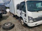 2016 Isuzu NQR BOX Truck