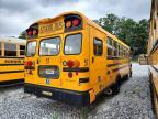 2019 Blub Bus