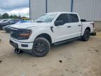 2025 Ford F150 STX