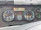 2017 Freightliner Cascadia 113 Semi Truck